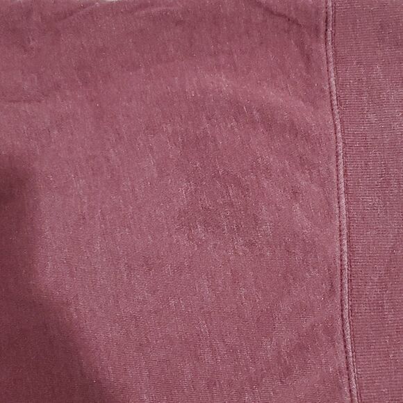 TENTREE maroon xs hoodie - Picture 8 of 8